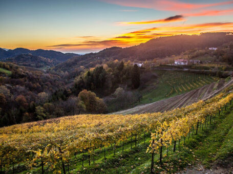 Discovering the hills of Prosecco DOCG – Group Tour